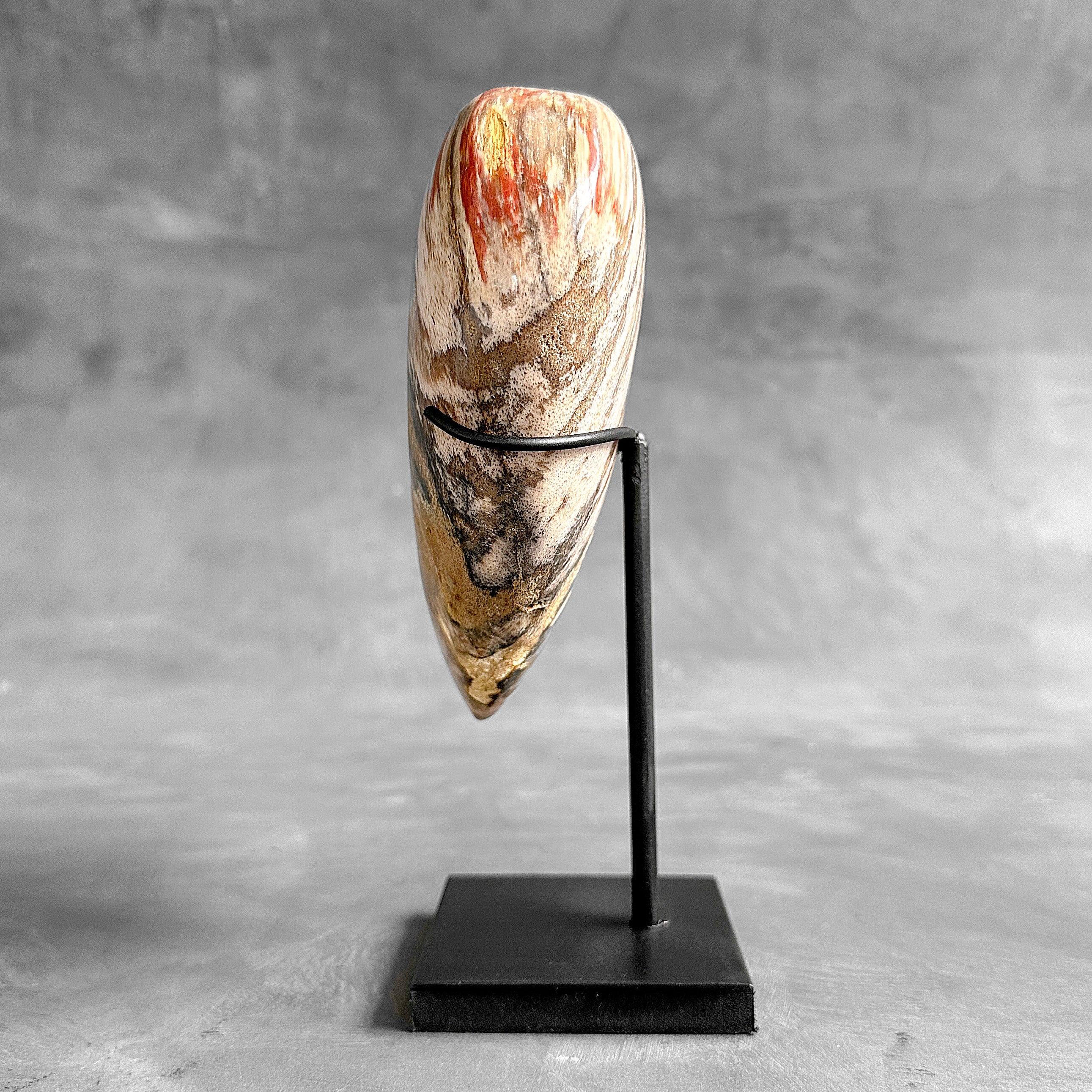 Wonderful Petrified Wood Heart-Shaped on a Custom Stand PWH/23/543