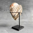 Wonderful Petrified Wood Heart-Shaped on a Custom Stand PWH/23/543