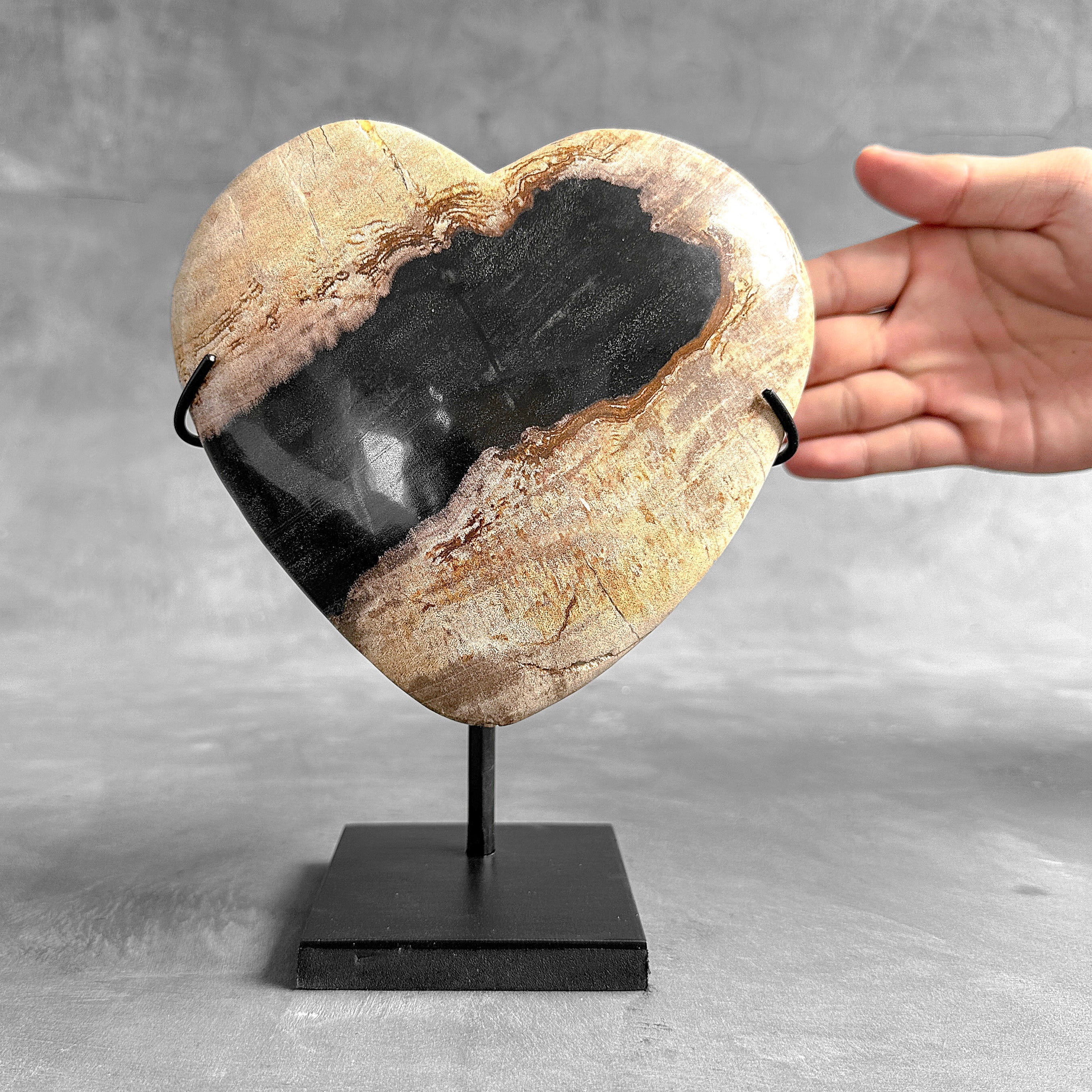 Wonderful Petrified Wood Heart-Shaped on a Custom Stand PWH/23/544