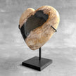 Wonderful Petrified Wood Heart-Shaped on a Custom Stand PWH/23/544