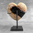 Wonderful Petrified Wood Heart-Shaped on a Custom Stand PWH/23/544