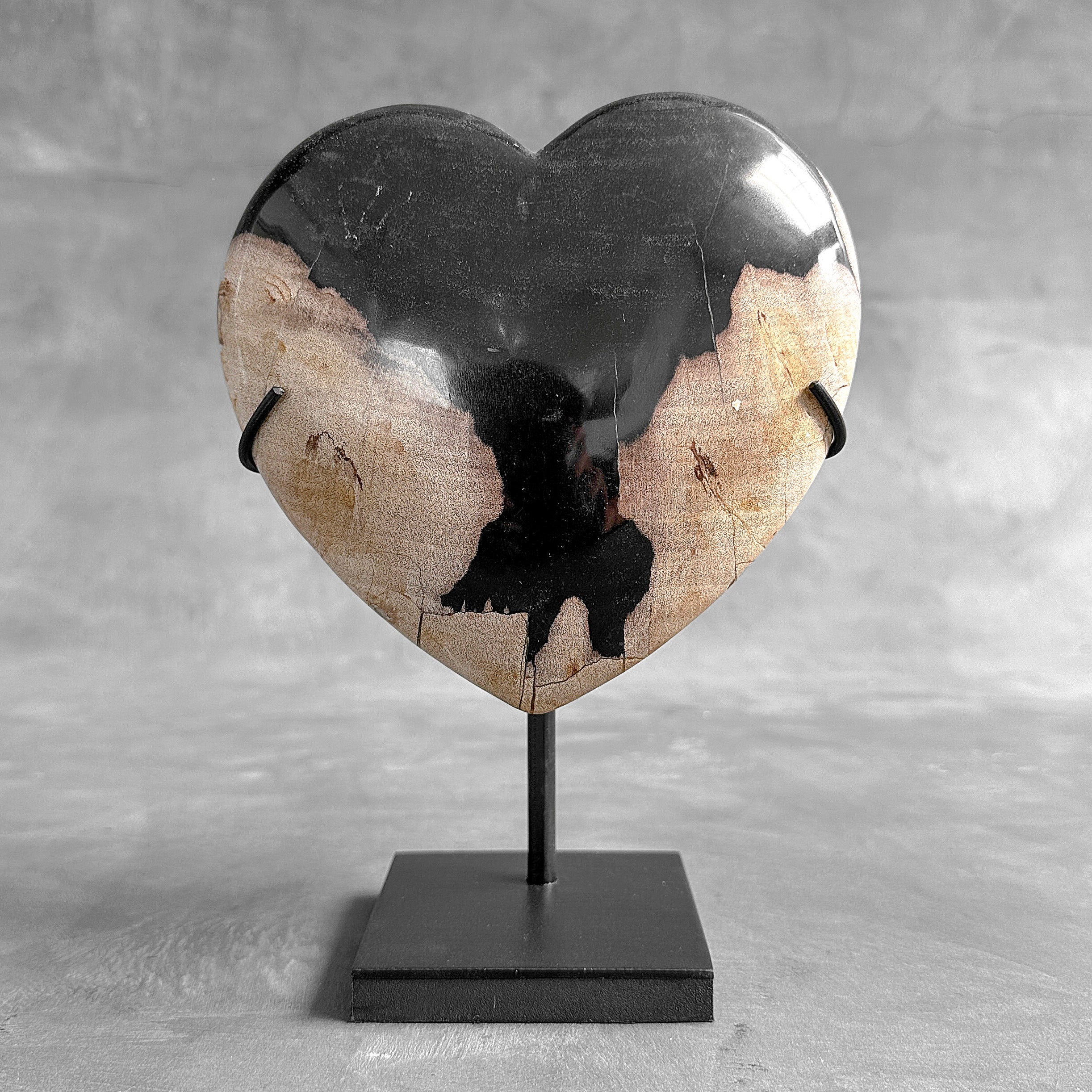 Wonderful Petrified Wood Heart-Shaped on a Custom Stand PWH/23/546