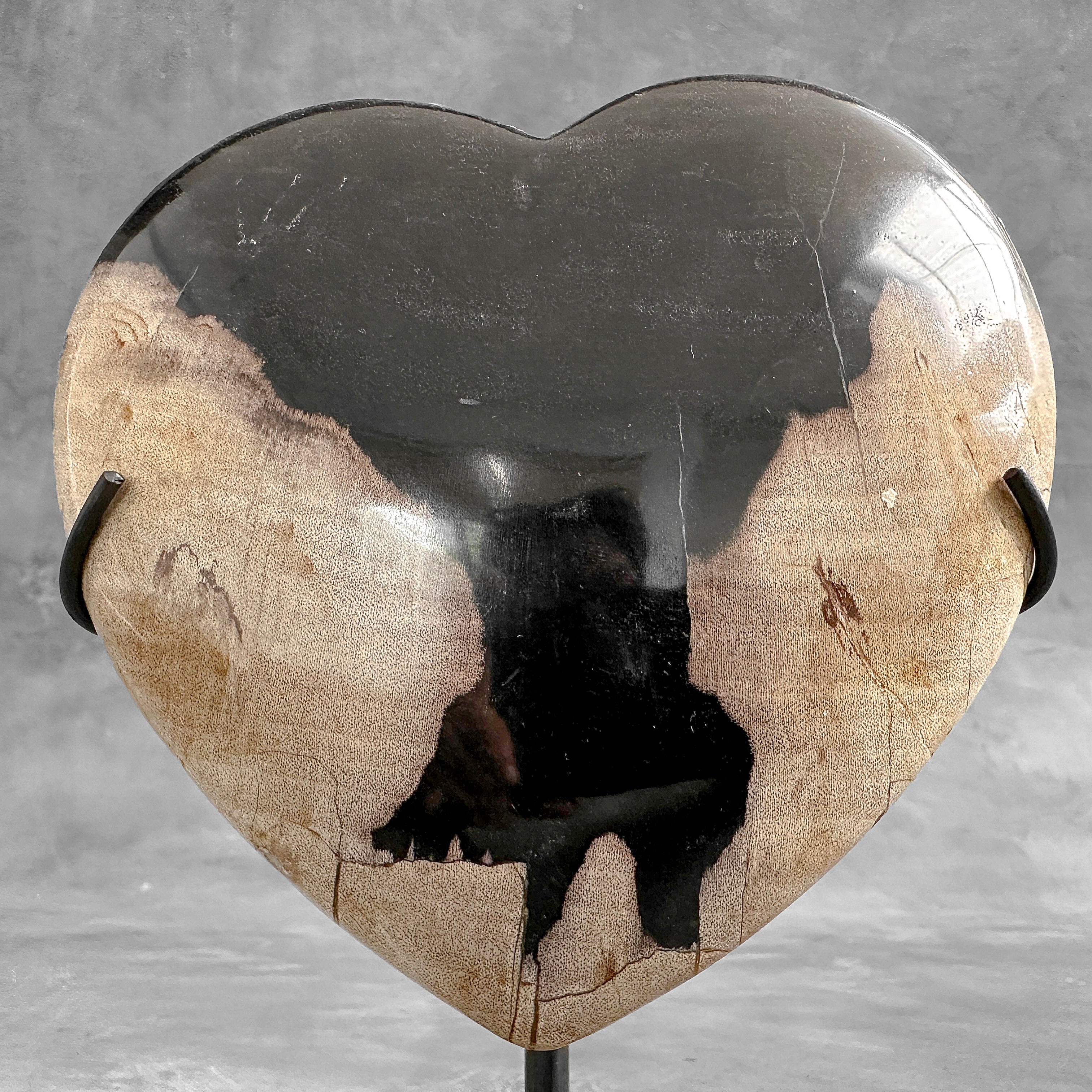 Wonderful Petrified Wood Heart-Shaped on a Custom Stand PWH/23/546