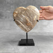 Wonderful Petrified Wood Heart-Shaped on a Custom Stand PWH/23/547