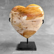 Wonderful Petrified Wood Heart-Shaped on a Custom Stand PWH/23/549