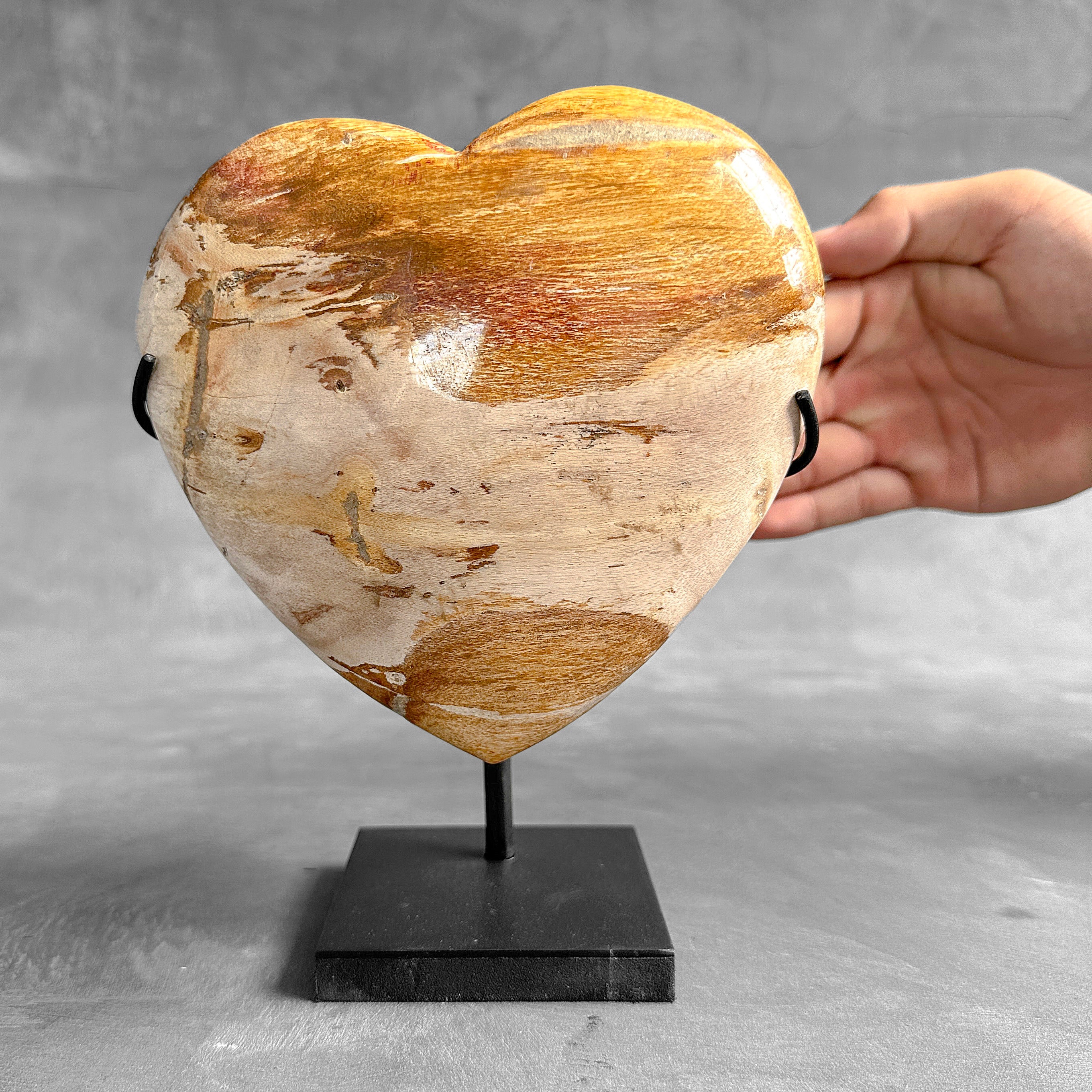 Wonderful Petrified Wood Heart-Shaped on a Custom Stand PWH/23/549