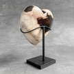 Wonderful Petrified Wood Heart-Shaped on a Custom Stand PWH/23/550