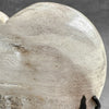 Wonderful Petrified Wood Heart-Shaped on a Custom Stand PWH/23/550