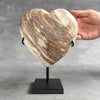 Wonderful Petrified Wood Heart-Shaped on a Custom Stand PWH/23/551