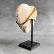 Wonderful Petrified Wood Heart-Shaped on a Custom Stand PWH/23/551