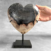 Wonderful Petrified Wood Heart-Shaped on a Custom Stand PWH/23/553