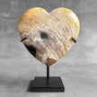 Wonderful Petrified Wood Heart-Shaped on a Custom Stand PWH/23/552