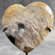 Wonderful Petrified Wood Heart-Shaped on a Custom Stand PWH/23/552