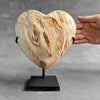 Wonderful Petrified Wood Heart-Shaped on a Custom Stand PWH/23/554