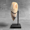 Wonderful Petrified Wood Heart-Shaped on a Custom Stand PWH/23/554