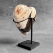 Wonderful Petrified Wood Heart-Shaped on a Custom Stand PWH/23/554