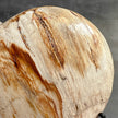 Wonderful Petrified Wood Heart-Shaped on a Custom Stand PWH/23/554