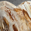 Wonderful Petrified Wood Heart-Shaped on a Custom Stand PWH/23/554