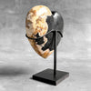 Wonderful Petrified Wood Heart-Shaped on a Custom Stand PWH/23/573