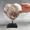 Wonderful Petrified Wood Heart-Shaped on a Custom Stand PWH/23/574