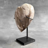 Wonderful Petrified Wood Heart-Shaped on a Custom Stand PWH/23/574