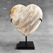 Wonderful Petrified Wood Heart-Shaped on a Custom Stand PWH/23/575