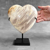 Wonderful Petrified Wood Heart-Shaped on a Custom Stand PWH/23/575