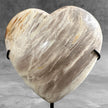 Wonderful Petrified Wood Heart-Shaped on a Custom Stand PWH/23/575