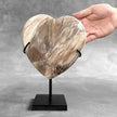 Wonderful Petrified Wood Heart-Shaped on a Custom Stand PWH/23/576