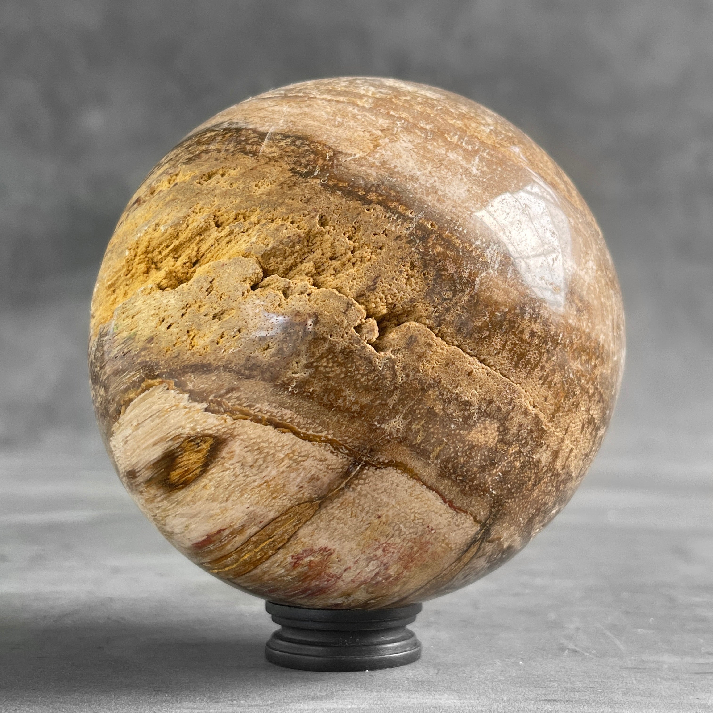 Wonderful Petrified Wood Sphere on a Custom Stand PS/523