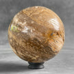 Wonderful Petrified Wood Sphere on a Custom Stand PS/523