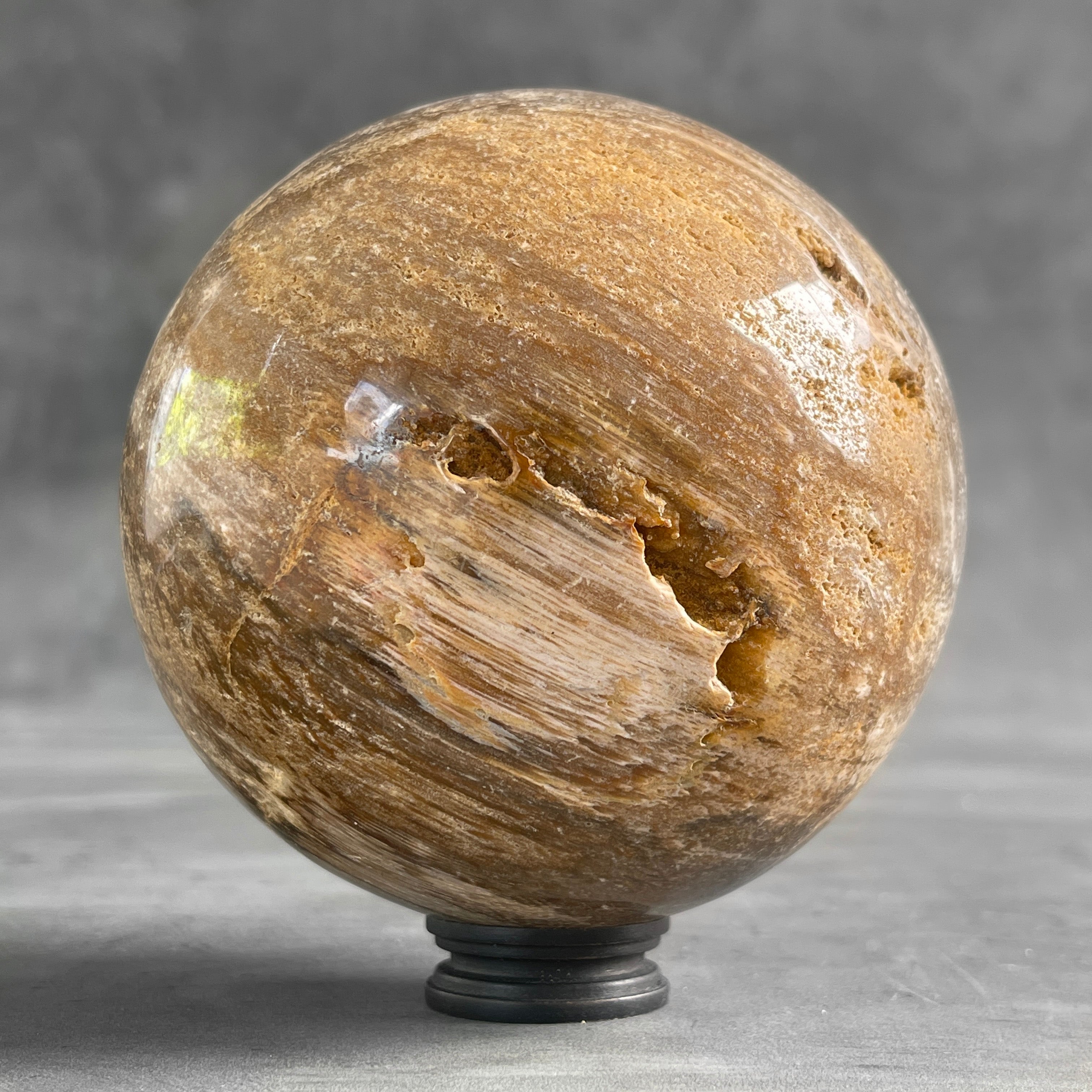 Wonderful Petrified Wood Sphere on a Custom Stand PS/523