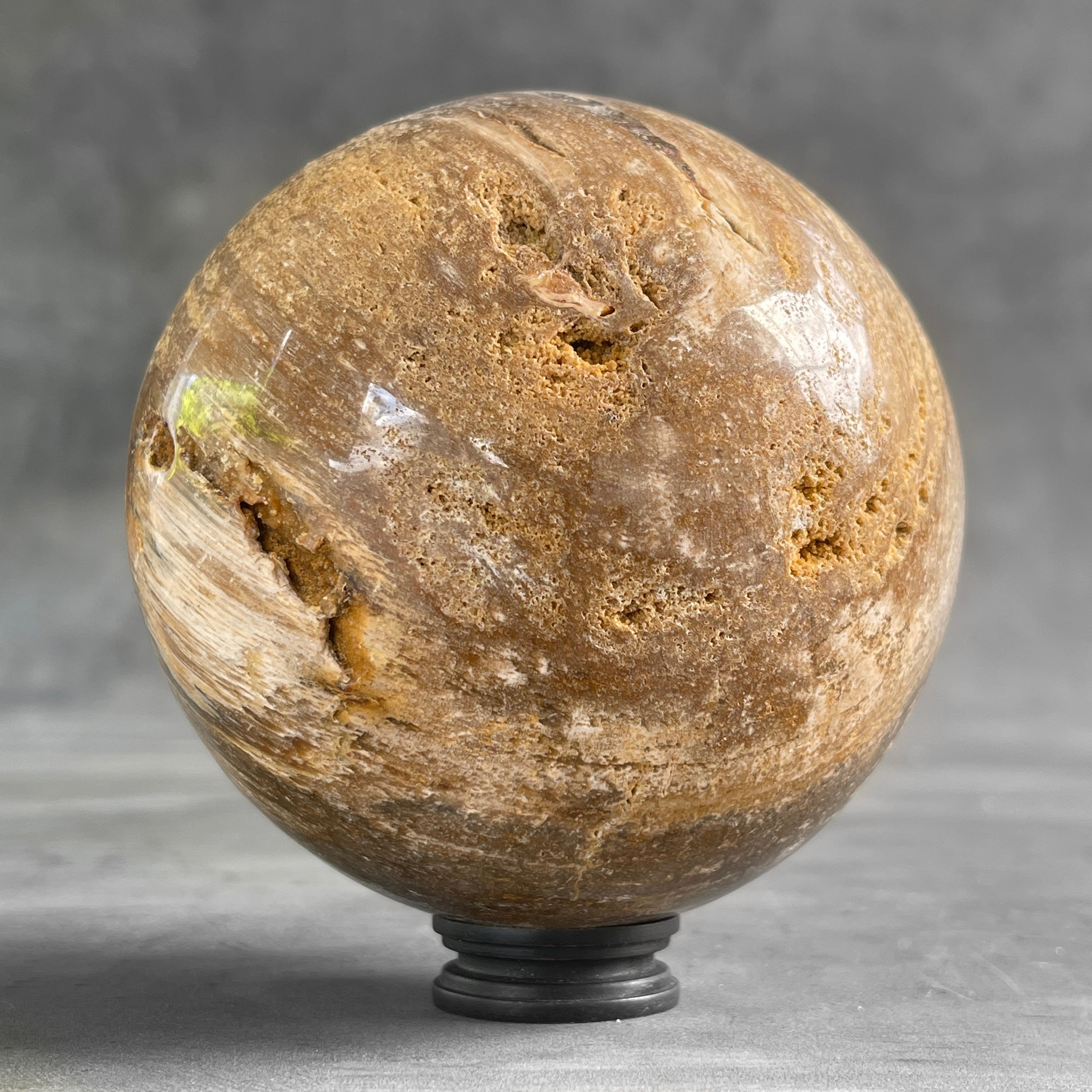 Wonderful Petrified Wood Sphere on a Custom Stand PS/523