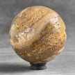 Wonderful Petrified Wood Sphere on a Custom Stand PS/523