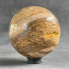 Wonderful Petrified Wood Sphere on a Custom Stand PS/523