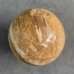 Wonderful Petrified Wood Sphere on a Custom Stand PS/523