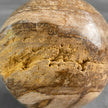 Wonderful Petrified Wood Sphere on a Custom Stand PS/523