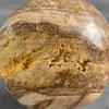 Wonderful Petrified Wood Sphere on a Custom Stand PS/523