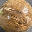 Wonderful Petrified Wood Sphere on a Custom Stand PS/523