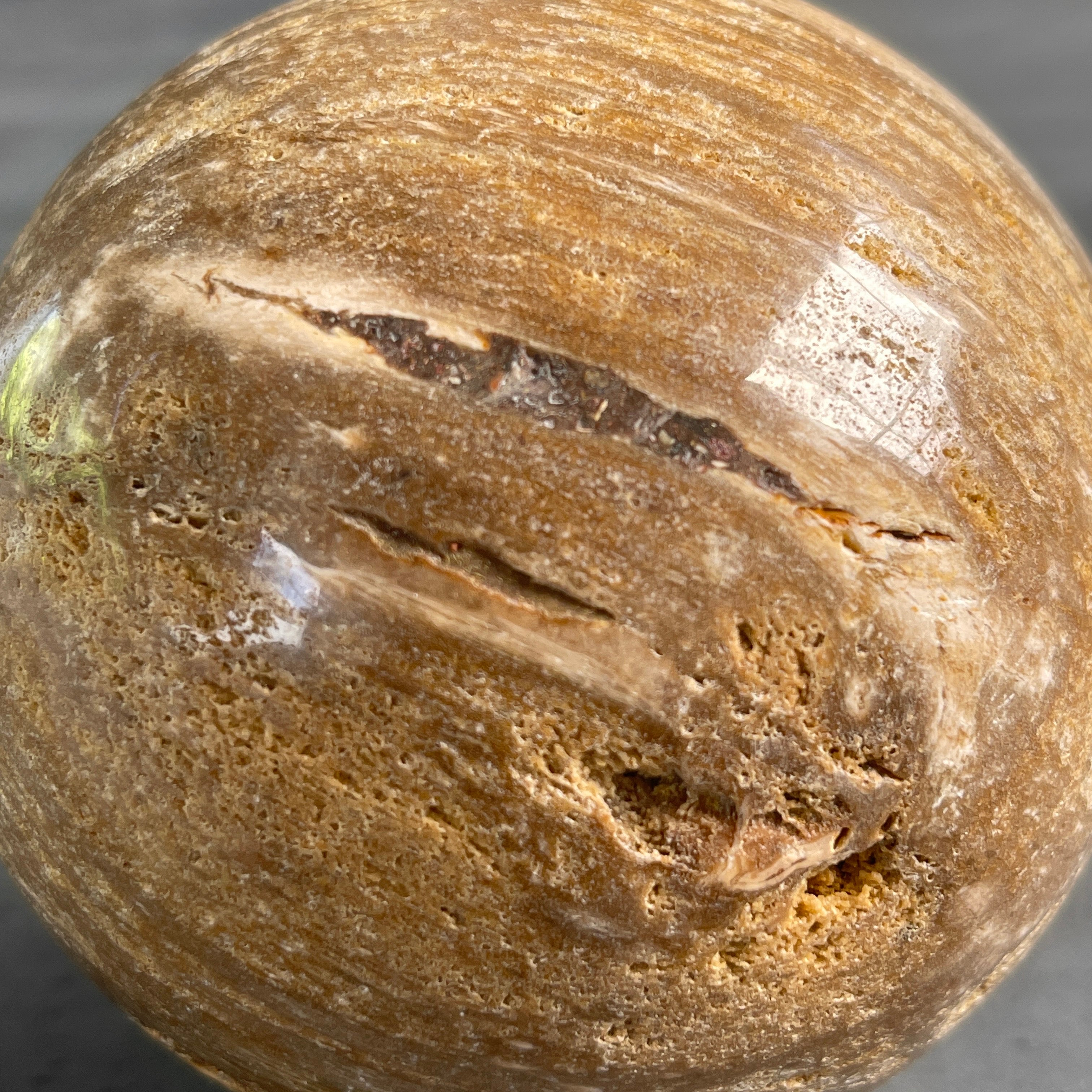 Wonderful Petrified Wood Sphere on a Custom Stand PS/523