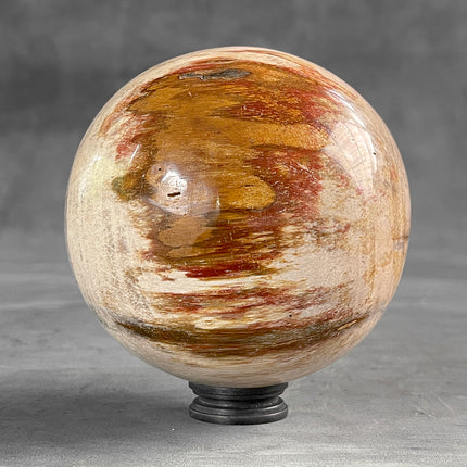 Wonderful Petrified Wood Sphere on a Custom Stand PS/527