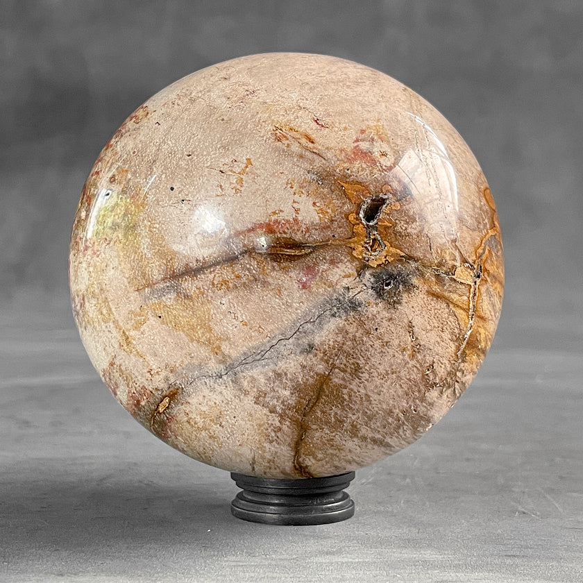 Wonderful Petrified Wood Sphere on a Custom Stand PS/527