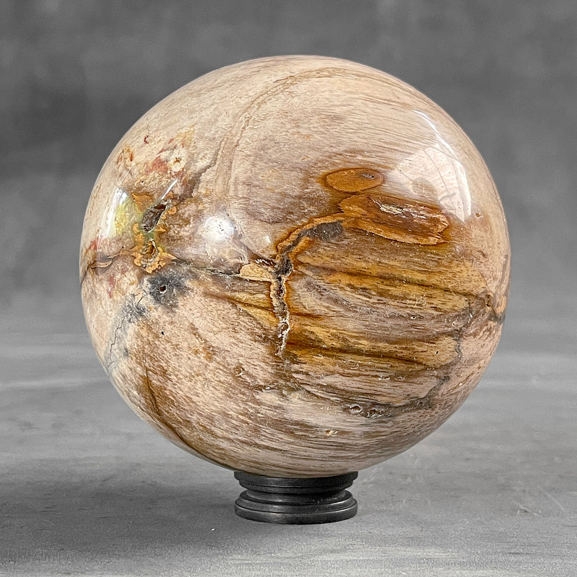Wonderful Petrified Wood Sphere on a Custom Stand PS/527