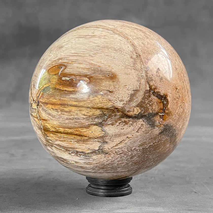 Wonderful Petrified Wood Sphere on a Custom Stand PS/527