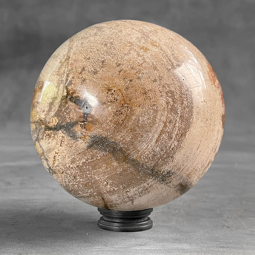 Wonderful Petrified Wood Sphere on a Custom Stand PS/527