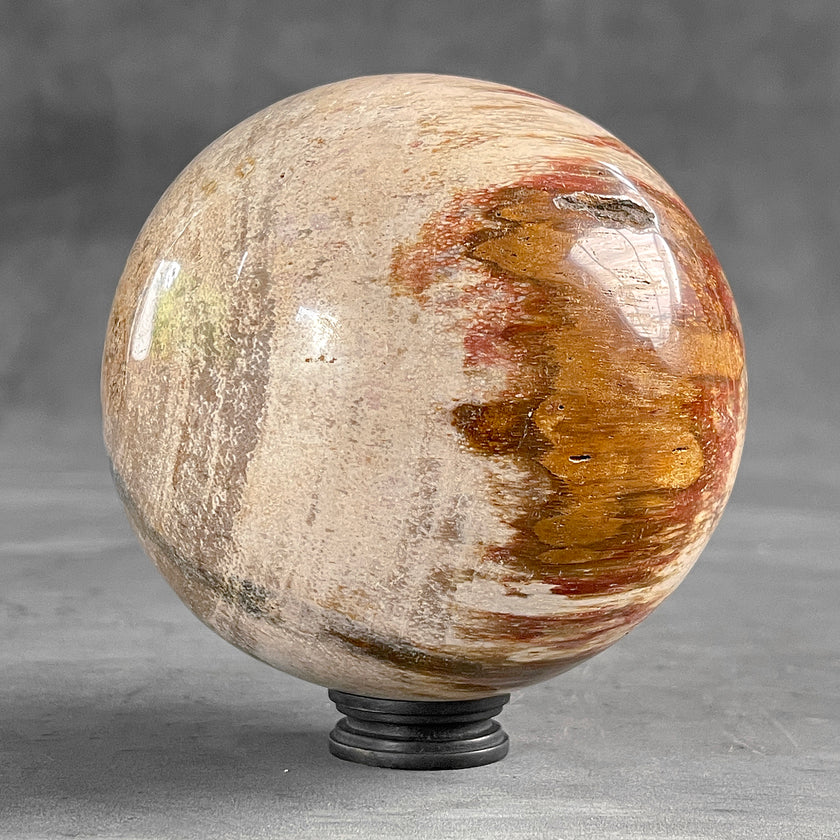 Wonderful Petrified Wood Sphere on a Custom Stand PS/527