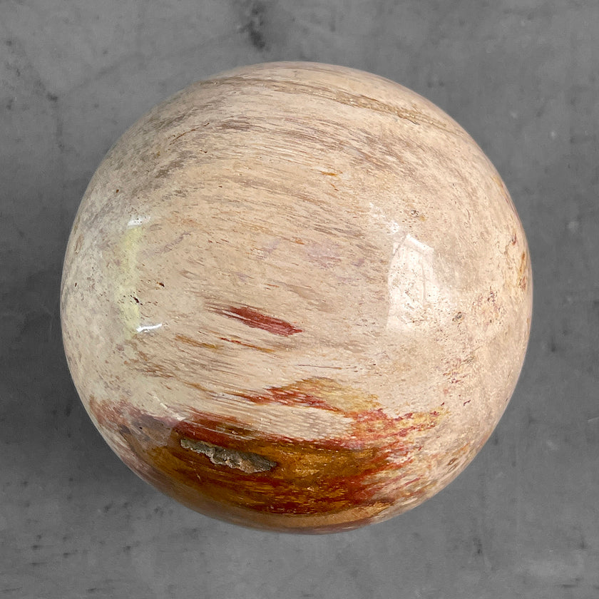 Wonderful Petrified Wood Sphere on a Custom Stand PS/527