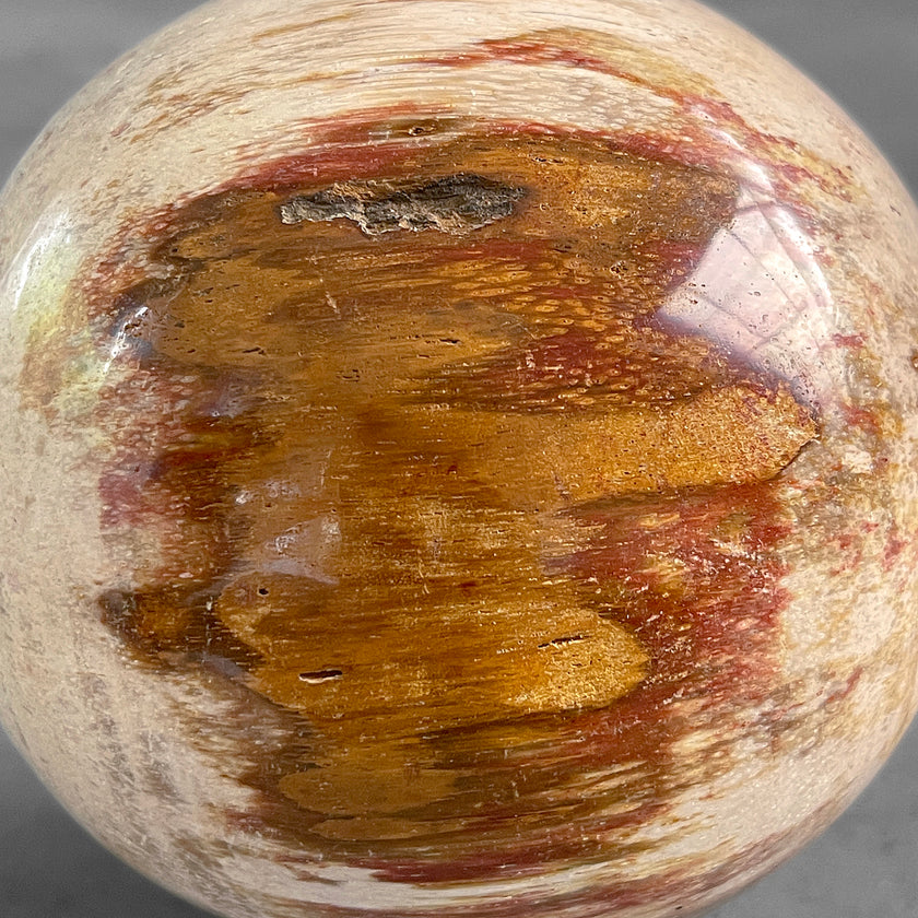 Wonderful Petrified Wood Sphere on a Custom Stand PS/527