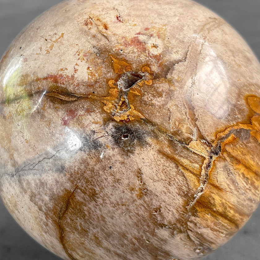 Wonderful Petrified Wood Sphere on a Custom Stand PS/527
