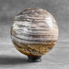 Wonderful Petrified Wood Sphere on a Custom Stand PS/533